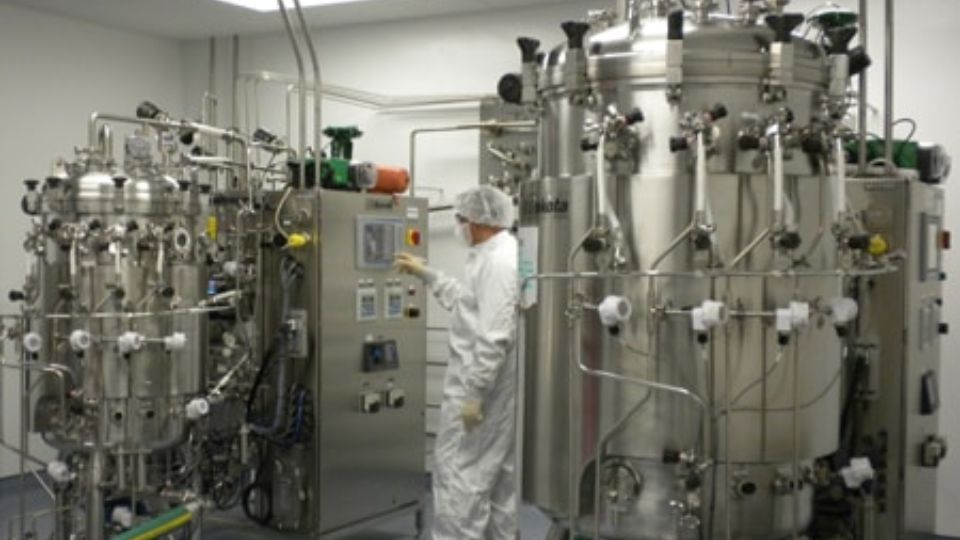 Fermentation in the Biopharmaceutical Industry
