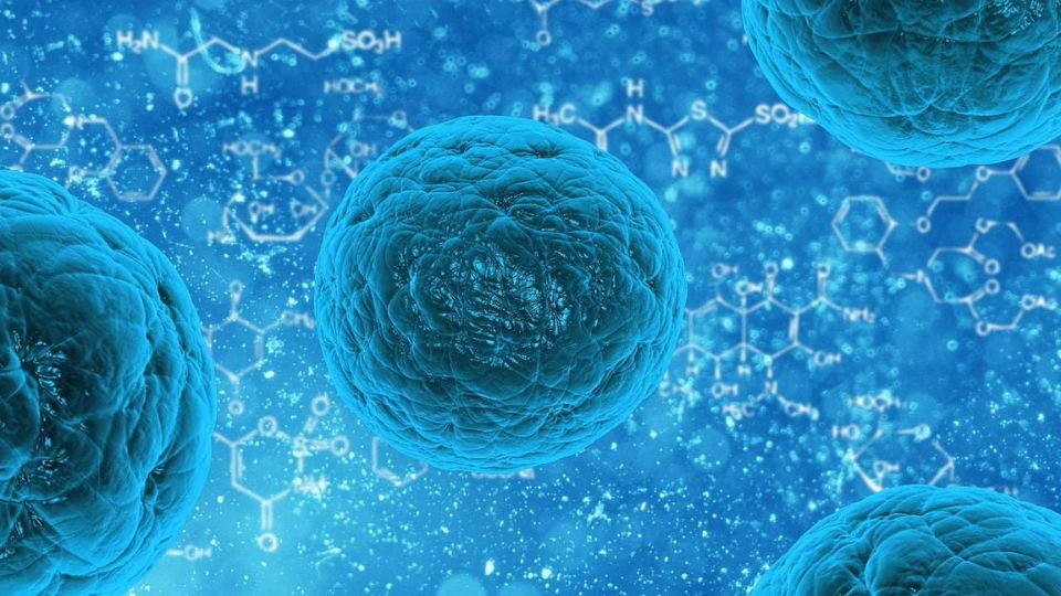 Stem Cell Medicinal Products cGMP and cGTP